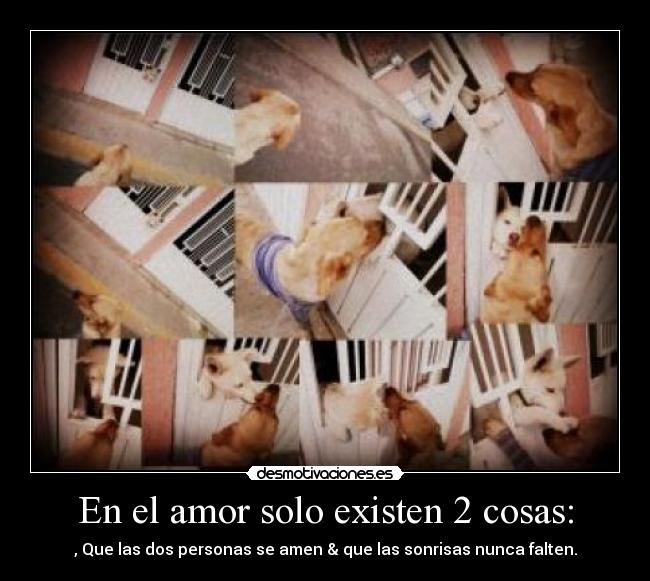 En el amor solo existen 2 cosas: - , Que las dos personas se amen & que las sonrisas nunca falten.