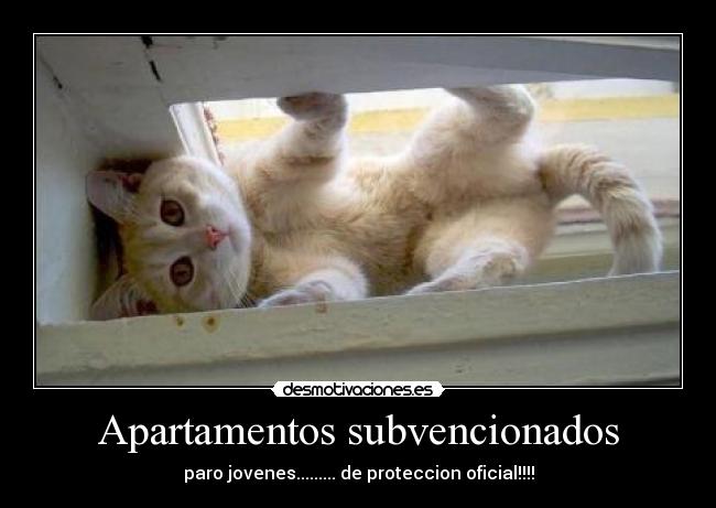 Apartamentos subvencionados - paro jovenes......... de proteccion oficial!!!!