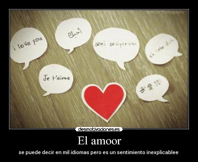 El amoor - se puede decir en mil idiomas pero es un sentimiento inexplicablee ♥