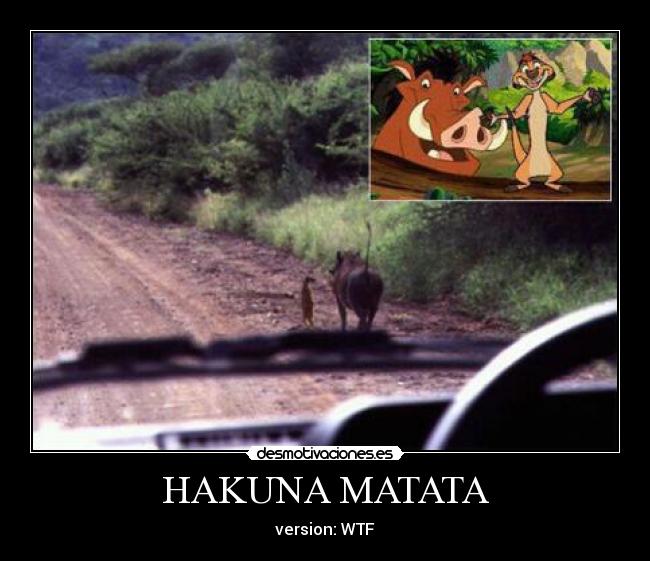 HAKUNA MATATA -