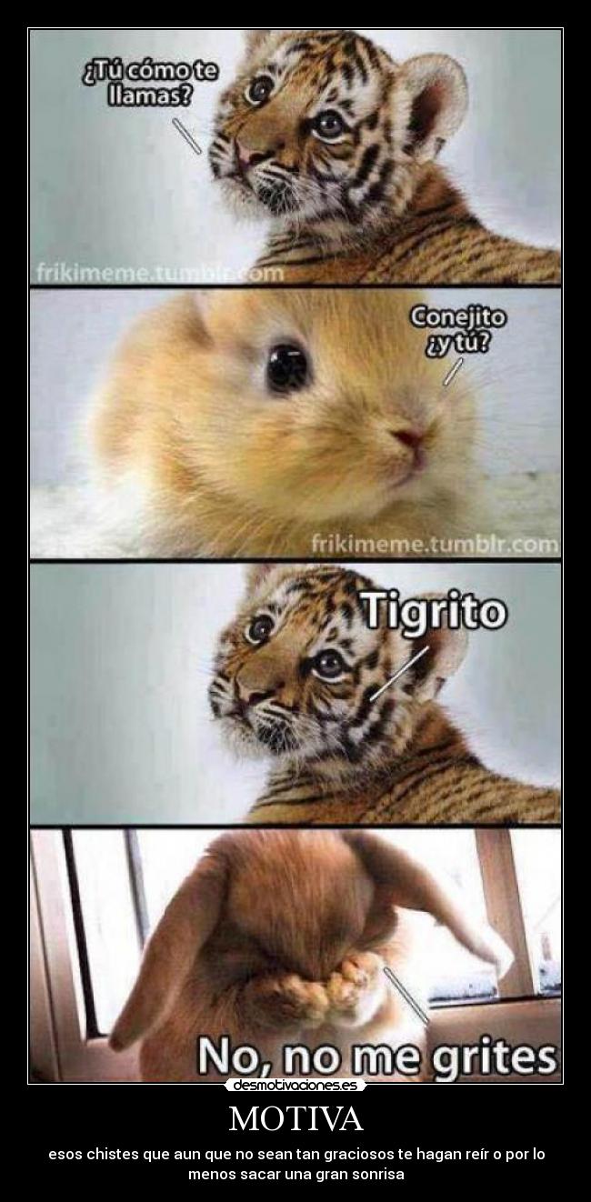 MOTIVA - esos chistes que aun que no sean tan graciosos te hagan reír o por lo
menos sacar una gran sonrisa