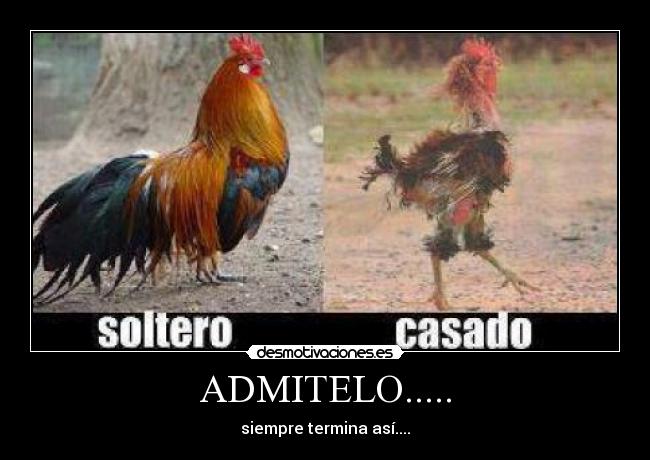 ADMITELO..... -