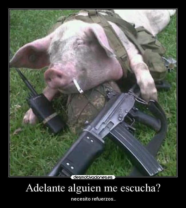 Adelante alguien me escucha? - necesito refuerzos..