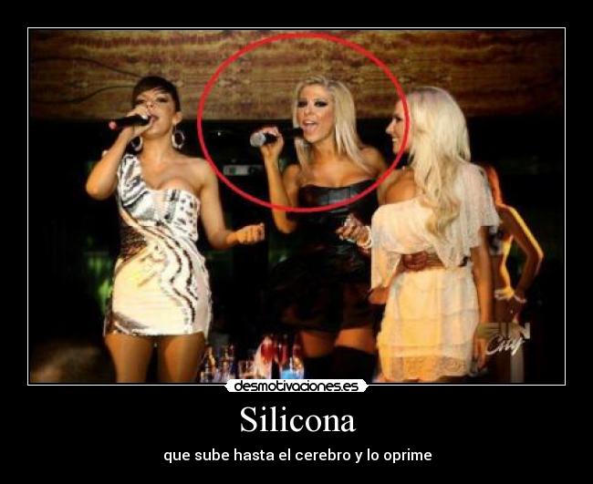 carteles silicona desmotivaciones