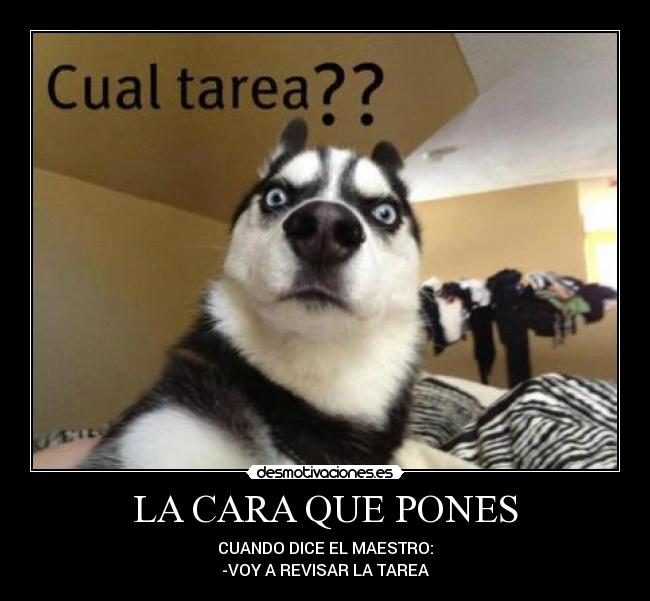 LA CARA QUE PONES - CUANDO DICE EL MAESTRO:
-VOY A REVISAR LA TAREA