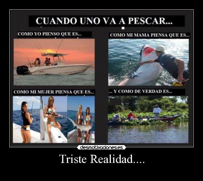 Triste Realidad.... -