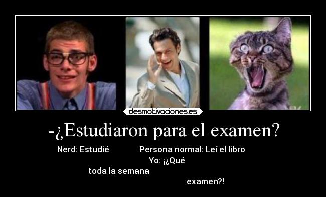 -¿Estudiaron para el examen? - 