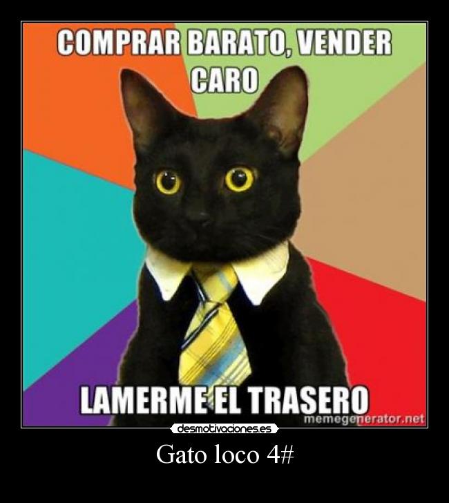 Gato loco 4# -
