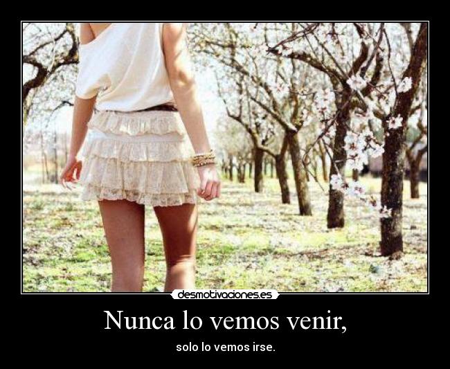 Nunca lo vemos venir, - solo lo vemos irse.