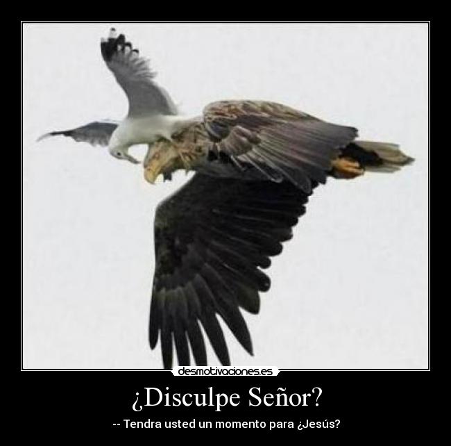 ¿Disculpe Señor? -