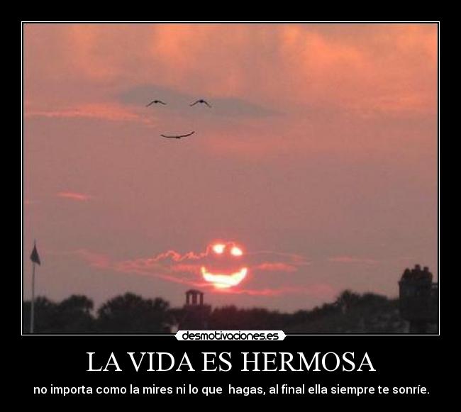 LA VIDA ES HERMOSA -