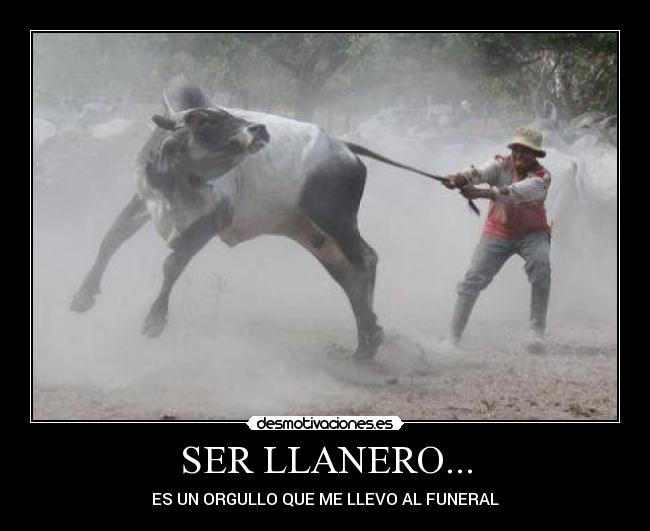 carteles jersonballestero desmotivaciones