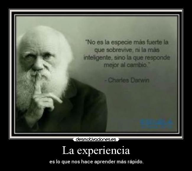 La experiencia -
