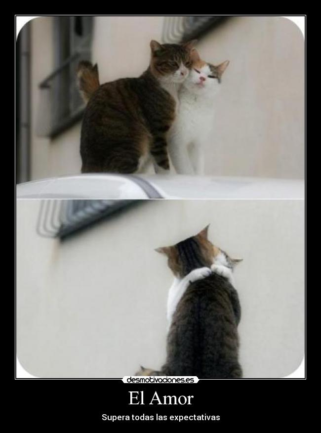 carteles amor amor desmotivaciones