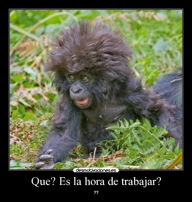 Que? Es la hora de trabajar? - 