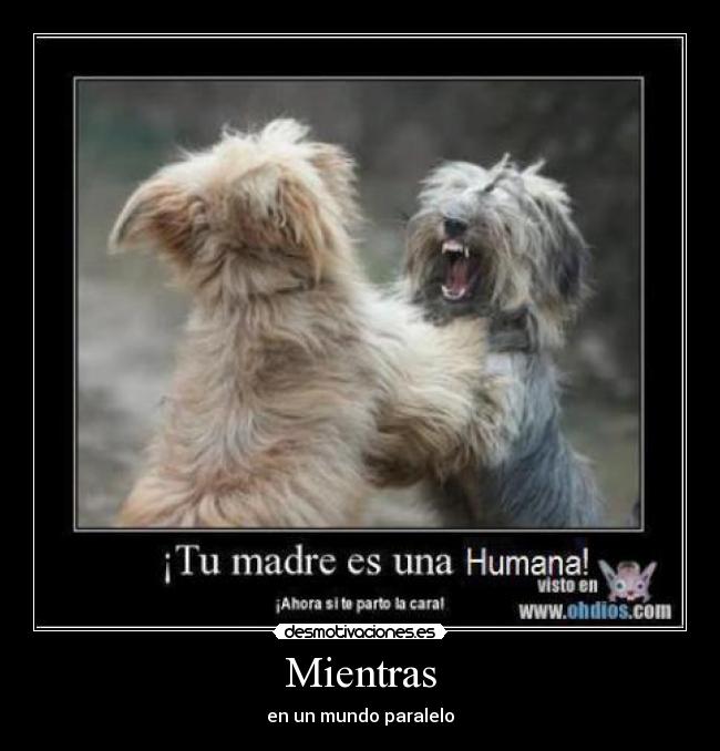 carteles  desmotivaciones