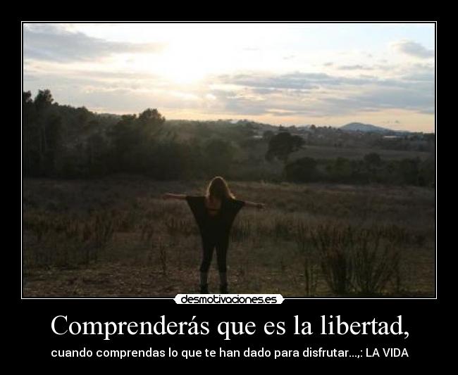 carteles libertad paatherdur desmotivaciones