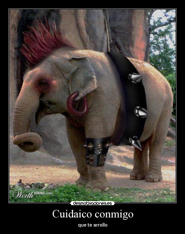 Cuidaico conmigo - que te arrollo