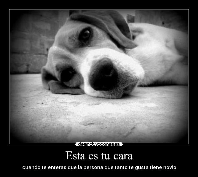 Esta es tu cara - cuando te enteras que la persona que tanto te gusta tiene novio