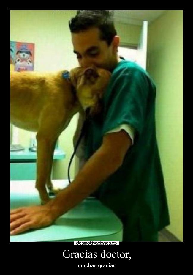 Gracias doctor, - muchas gracias