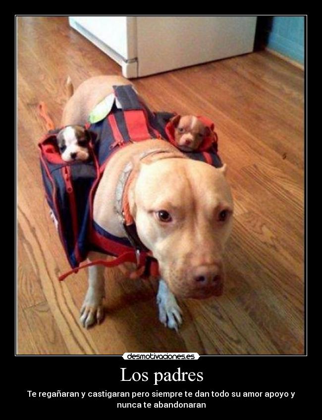 Los padres -