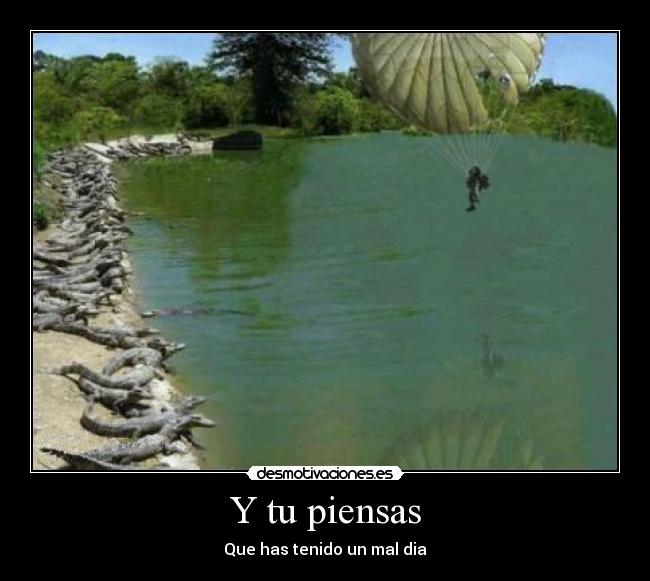 carteles cocodrilos mal dia pensar principal tener desmotivaciones