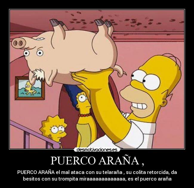 PUERCO ARAÑA , - PUERCO ARAÑA el mal ataca con su telaraña , su colita retorcida, da
besitos con su trompita miraaaaaaaaaaaaa, es el puerco araña