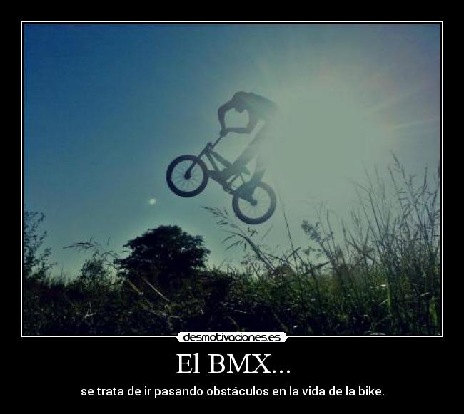 carteles bmx desmotivaciones