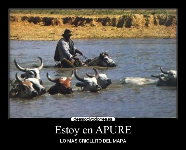 carteles jersonballestero desmotivaciones