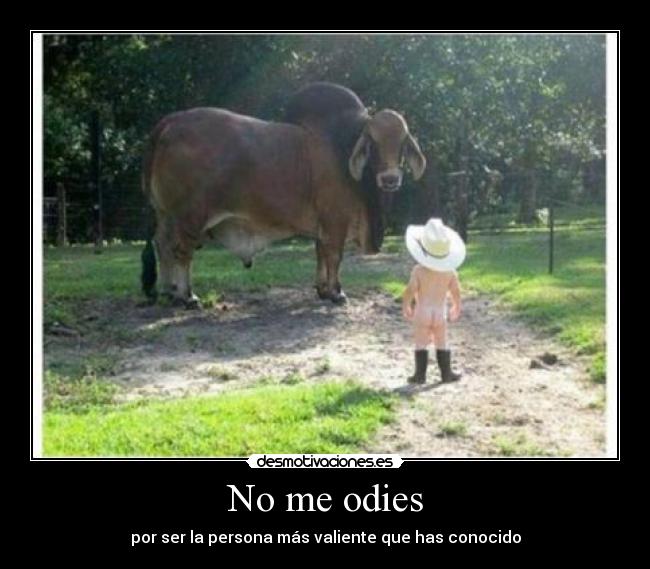 No me odies -