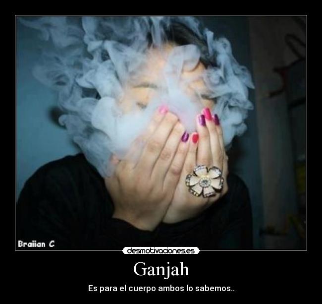 carteles comovos desmotivaciones