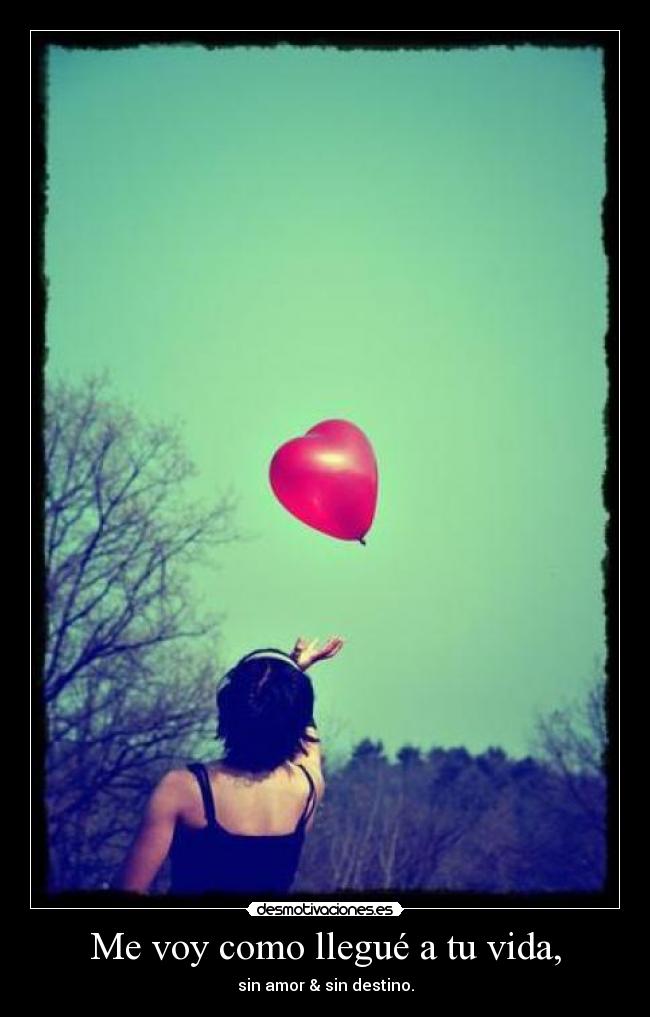 Me voy como llegué a tu vida, - 
