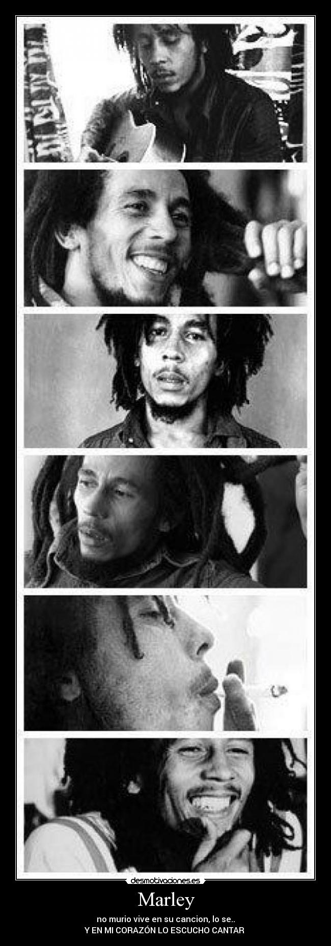 Marley - 