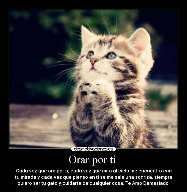 carteles flaca desmotivaciones