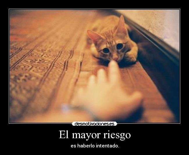 El mayor riesgo - 