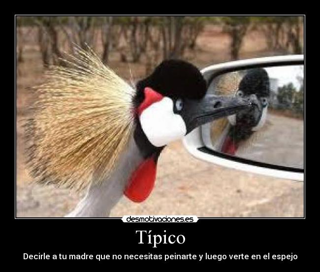 Típico - Decirle a tu madre que no necesitas peinarte y luego verte en el espejo