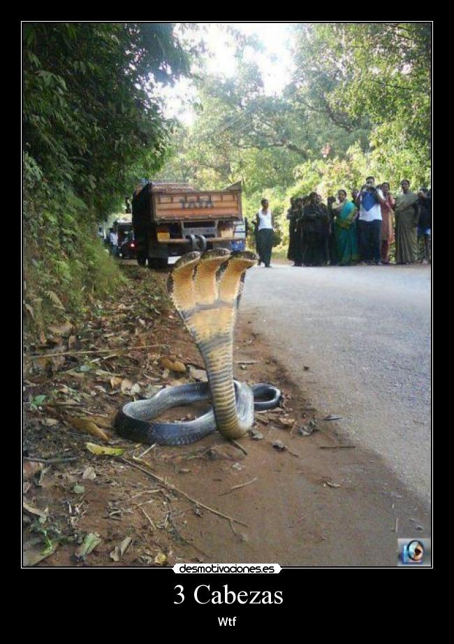 carteles edwin09 desmotivaciones