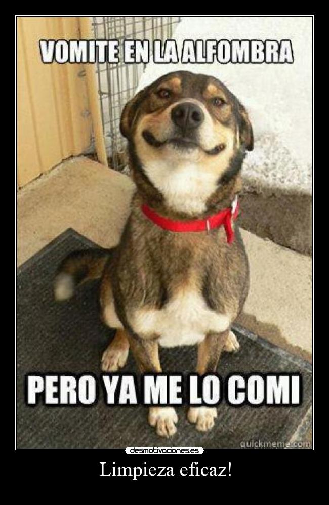 carteles brandon desmotivaciones