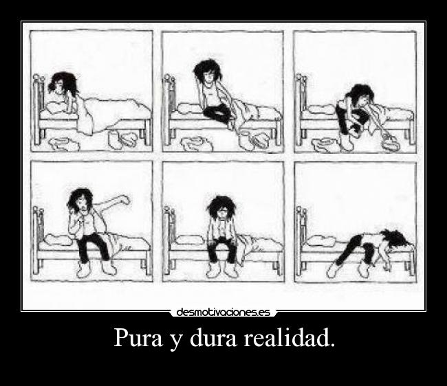 Pura y dura realidad. - 