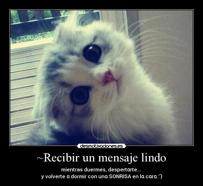 carteles sarita desmotivaciones