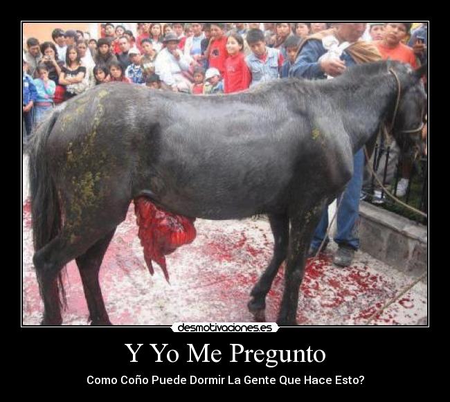 Y Yo Me Pregunto - Como Coño Puede Dormir La Gente Que Hace Esto?