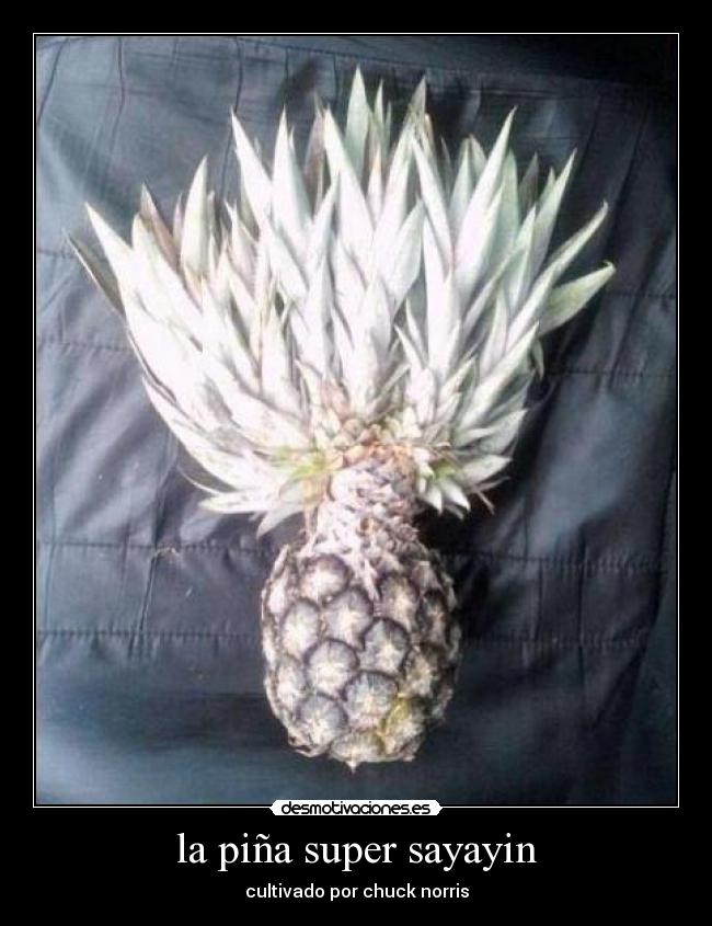 la piña super sayayin - 