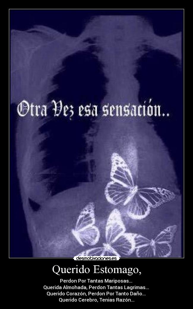 Querido Estomago, - Perdon Por Tantas Mariposas... 
Querida Almohada, Perdon Tantas Lagrimas... 
Querido Corazón, Perdon Por Tanto Daño... 
Querido Cerebro, Tenias Razón...♥