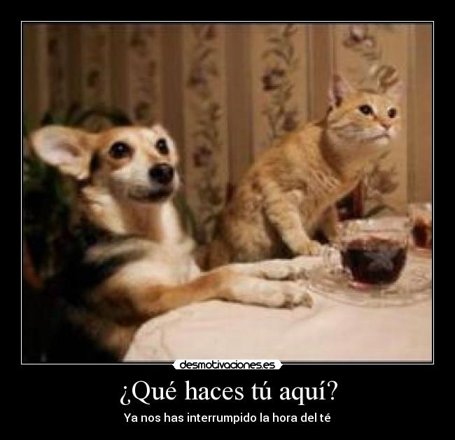 ¿Qué haces tú aquí? - Ya nos has interrumpido la hora del té