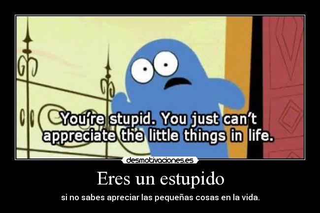Eres un estupido - si no sabes apreciar las pequeñas cosas en la vida.
