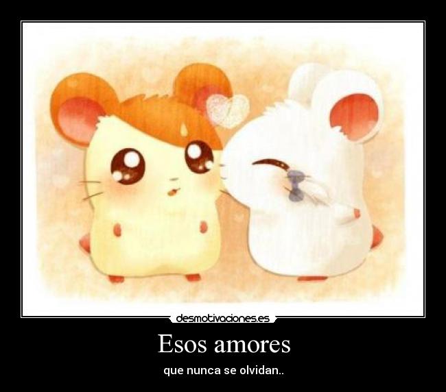 Esos amores - que nunca se olvidan..