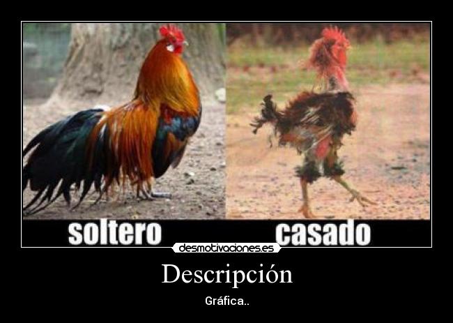 carteles suele pasar desmotivaciones