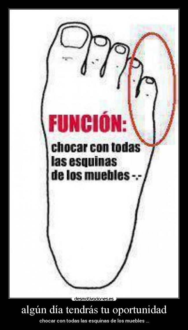 algún día tendrás tu oportunidad - chocar con todas las esquinas de los muebles ...