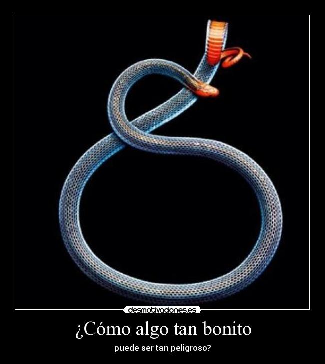 carteles serpiente desmotivaciones