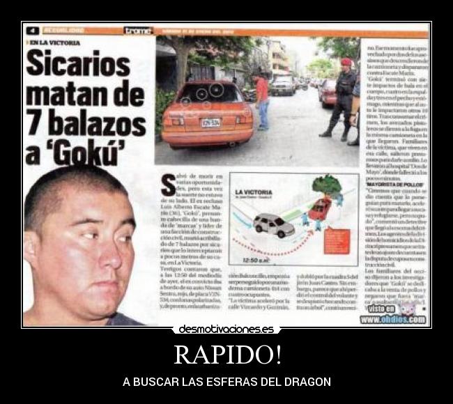 RAPIDO! - 